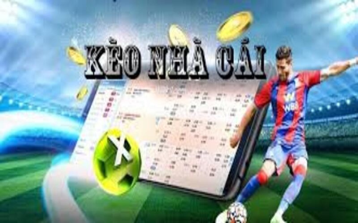 Bookmaker Odds: A Simple Guide for Every Football Fan