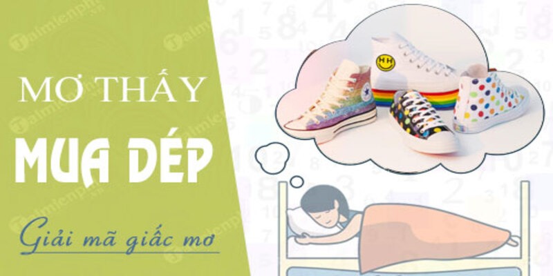 What number should I bet if I dream about slippers? Detailed instructions for lottery players