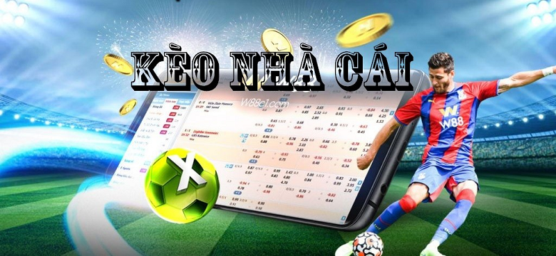 Kèo nhà cái - Hướng dẫn chi tiết A-Z cho người mới tại chokeo.me